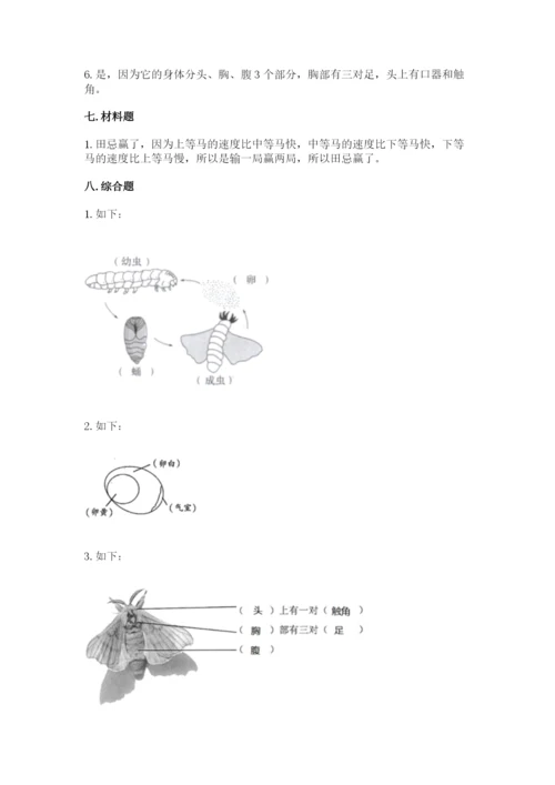 教科版小学科学三年级下册 期末测试卷（重点）.docx