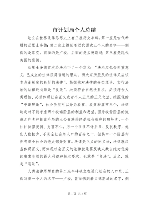 市计划局个人总结 (4).docx