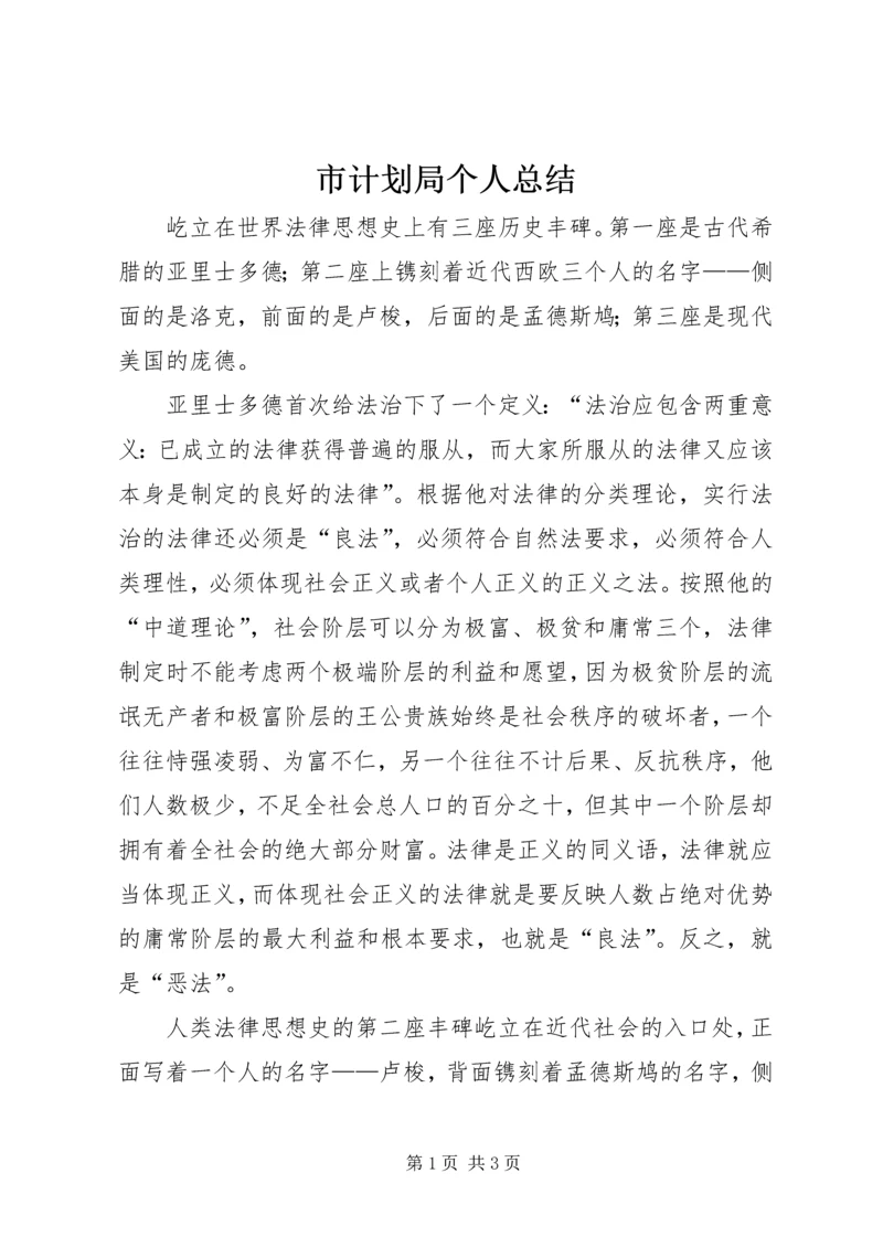 市计划局个人总结 (4).docx