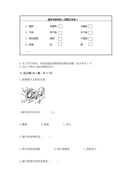 教科版一年级下册科学期末测试卷精品带答案.docx