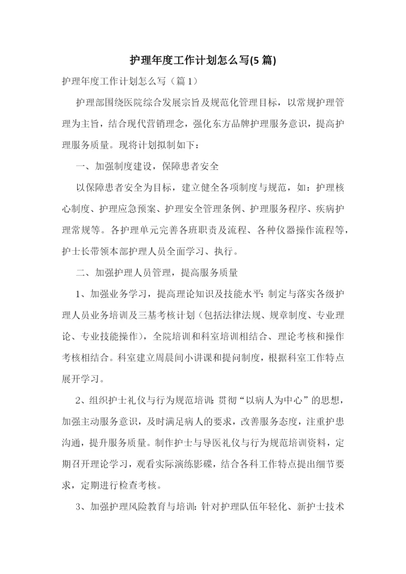 护理年度工作计划怎么写(5篇).docx