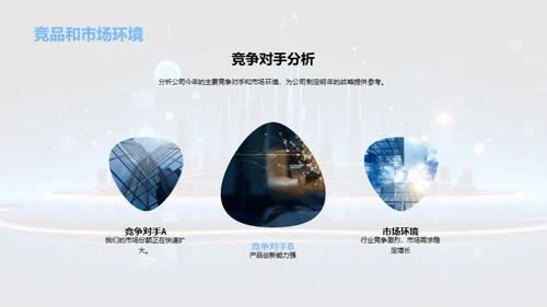 20XX业绩回顾与展望