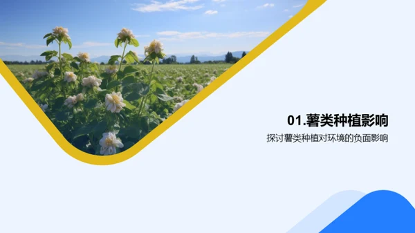 绿色薯种：环保农业
