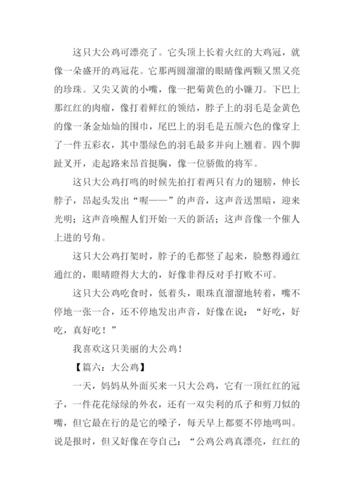 大公鸡作文400字.docx