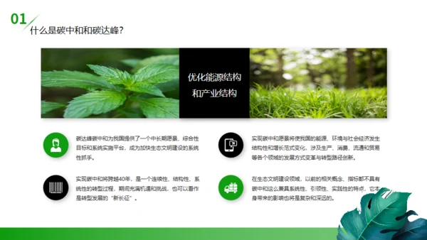 碳达峰碳中和低炭经济环境保护通用PPT模板