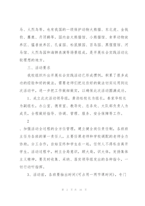 开展社会实践活动的策划方案范本.docx