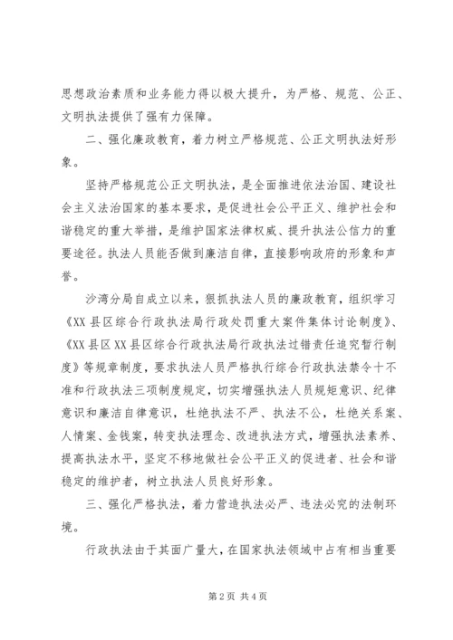 乡镇综合行政执法分局述职报告.docx