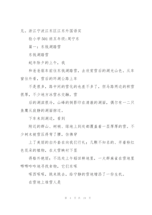 踏雪,初一作文.docx