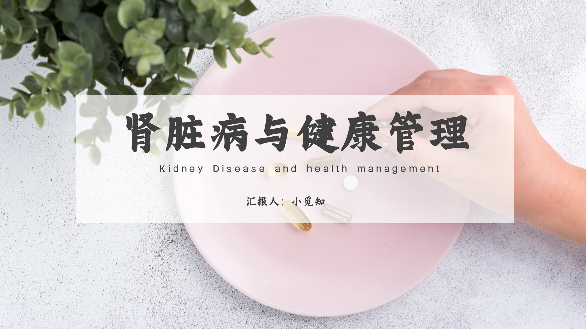 淡粉色简约肾脏病与健康管理PPT模板