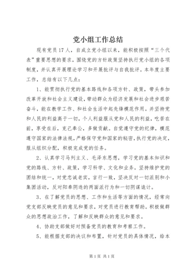 党小组工作总结 (7).docx