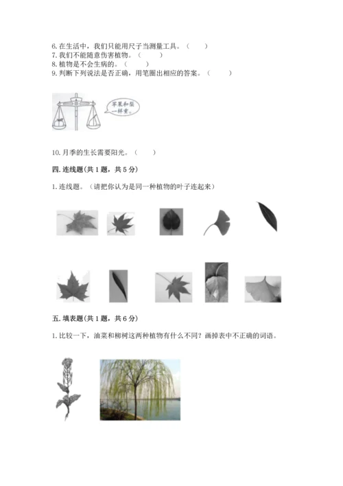 教科版一年级上册科学期末测试卷附完整答案【全国通用】.docx