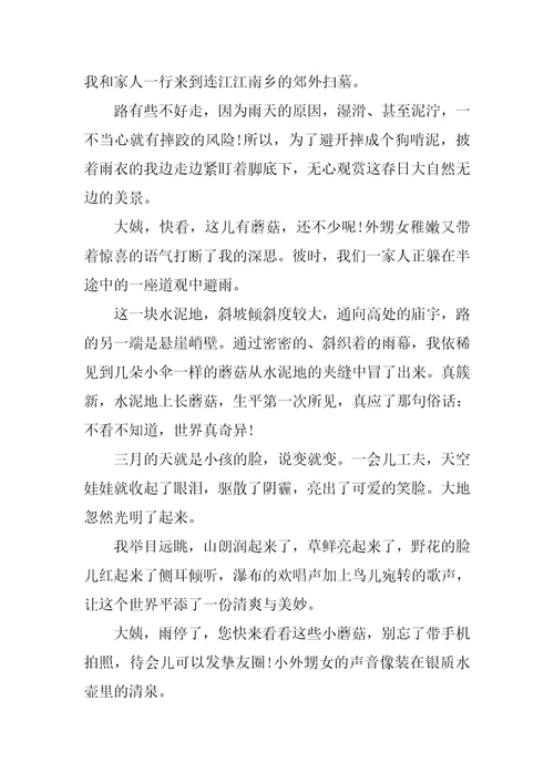 清明节扫墓作文范文