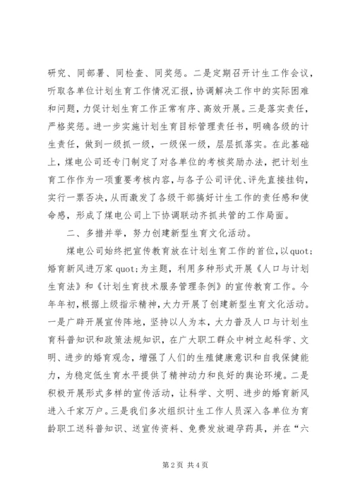 煤电公司计划个人生育工作总结.docx