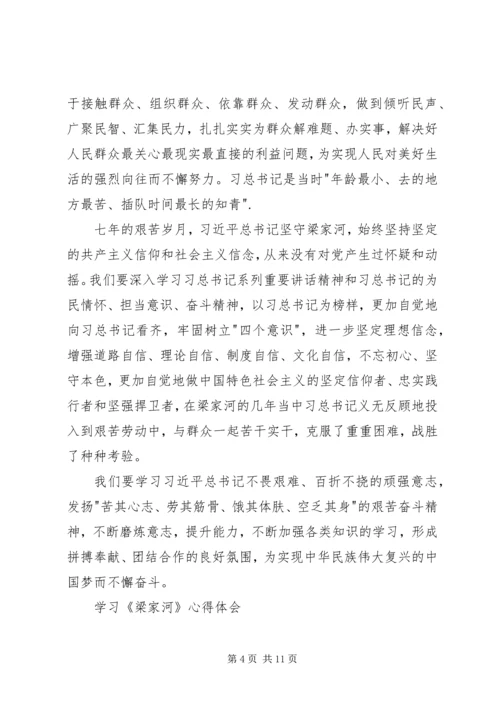 学习梁家河心得体会六.docx