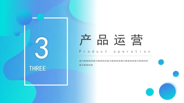 商务高端商业计划书通用PPT模板