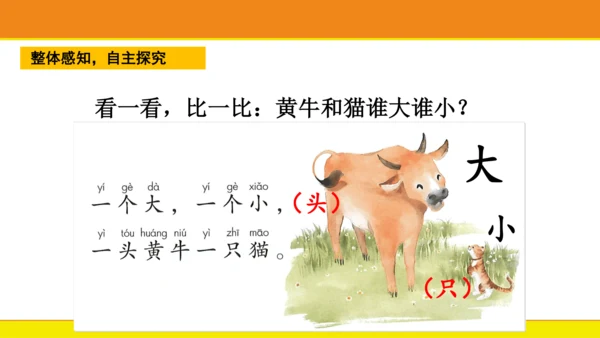 7 大小多少  课件