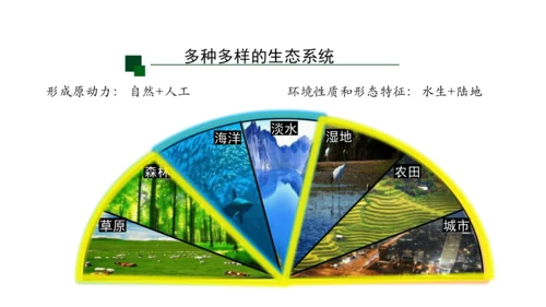 1.2.3 生物圈是最大的生态系统 课件（共28张PPT）