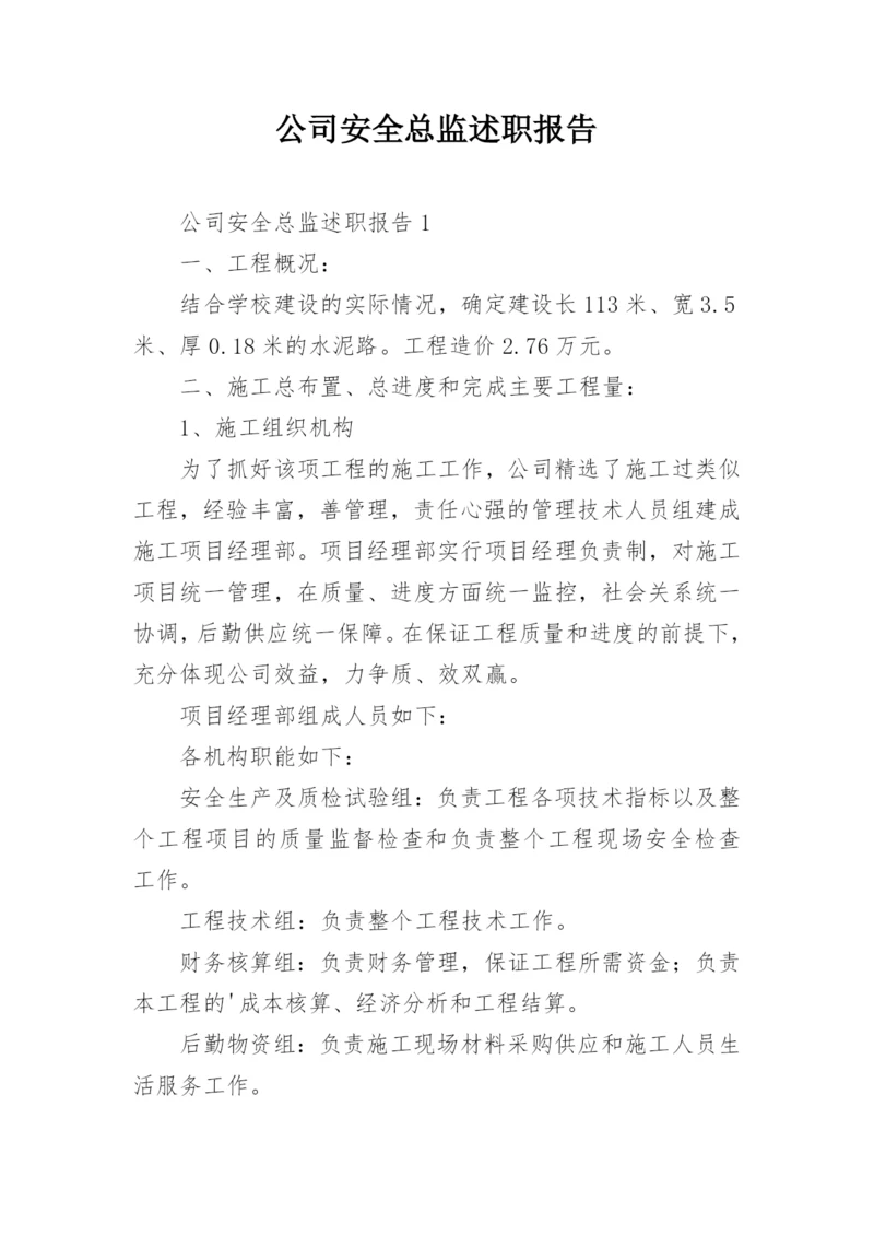 公司安全总监述职报告.docx