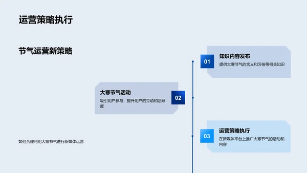 新媒体运营大寒策略PPT模板