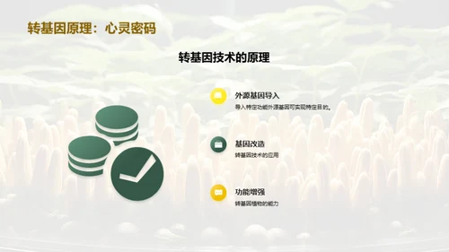 转基因植物
