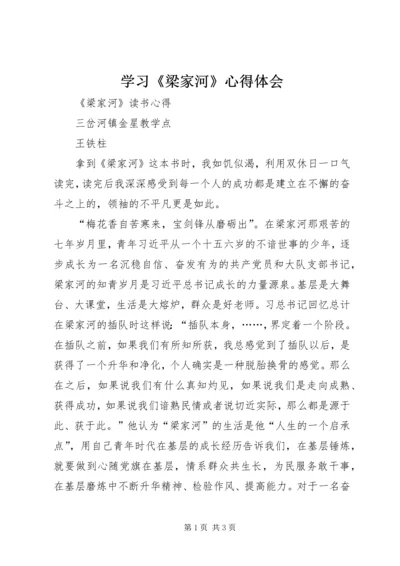 学习《梁家河》心得体会 (12).docx