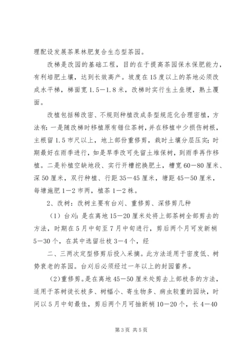 茶园改造实施方案 (2).docx