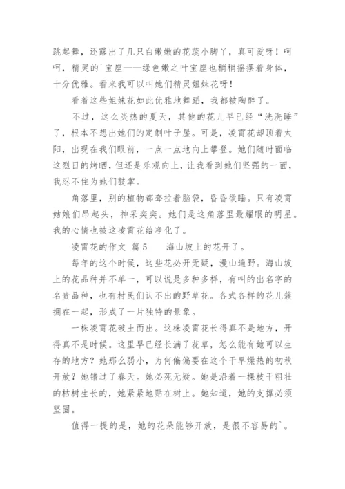 凌霄花的作文_1.docx