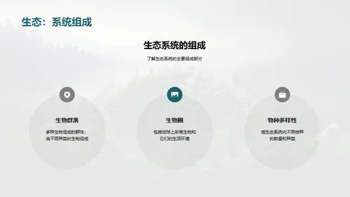 生态守护：我们的责任