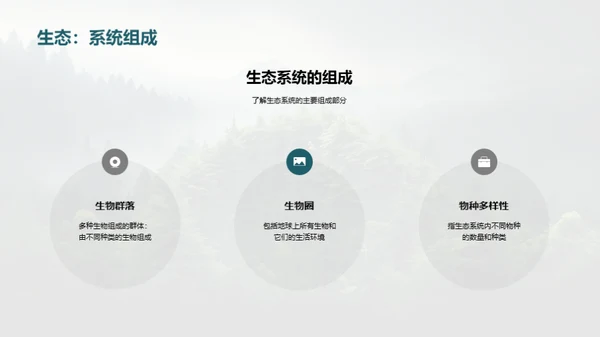 生态守护：我们的责任