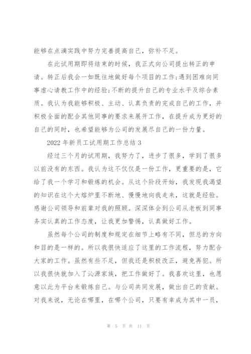 2022年新员工试用期工作总结5篇.docx