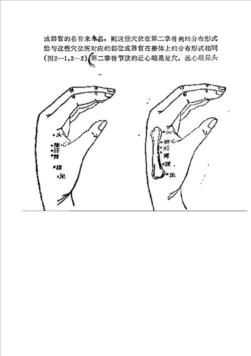 生物全息疗法