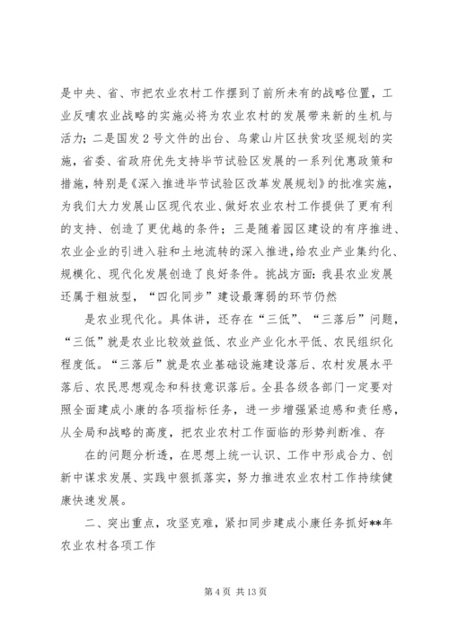 农业农村工作讲话与农业厅长XX年新年致辞 (4).docx