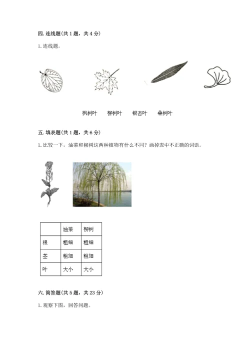 教科版一年级上册科学期末测试卷【精华版】.docx