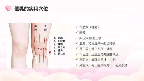 高级催乳师培训母婴类PPT模板