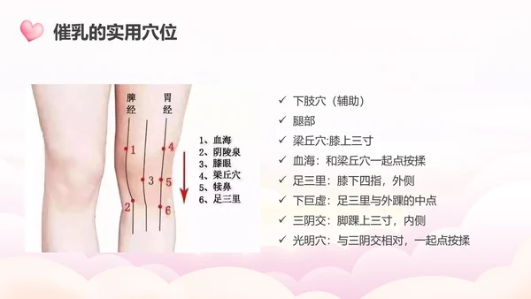 高级催乳师培训母婴类PPT模板