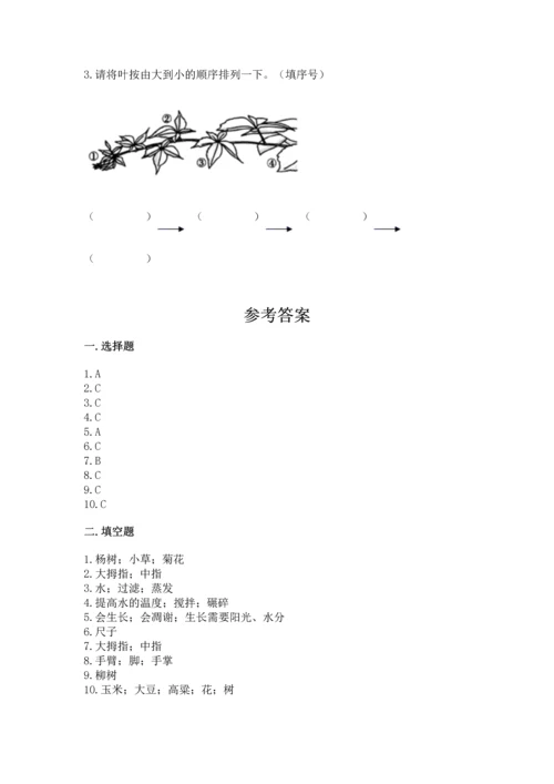 教科版一年级上册科学期末测试卷（典型题）.docx