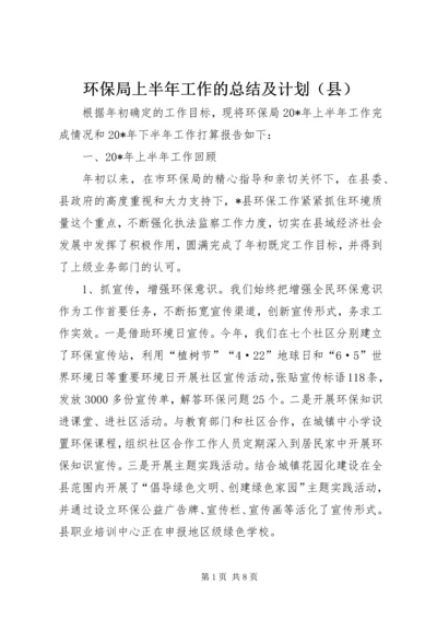 环保局上半年工作的总结及计划（县）.docx