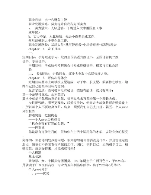 SWOT分析报告格式