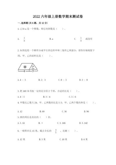 2022六年级上册数学期末测试卷（网校专用）word版.docx