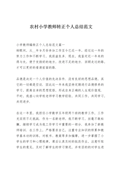 农村小学教师转正个人总结范文.docx