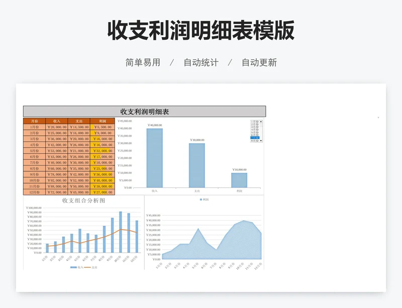 收支利润明细表模版
