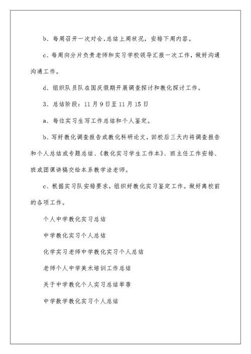 个人中学教育实习总结