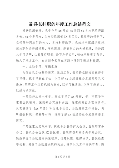 副县长挂职的年度工作总结范文.docx