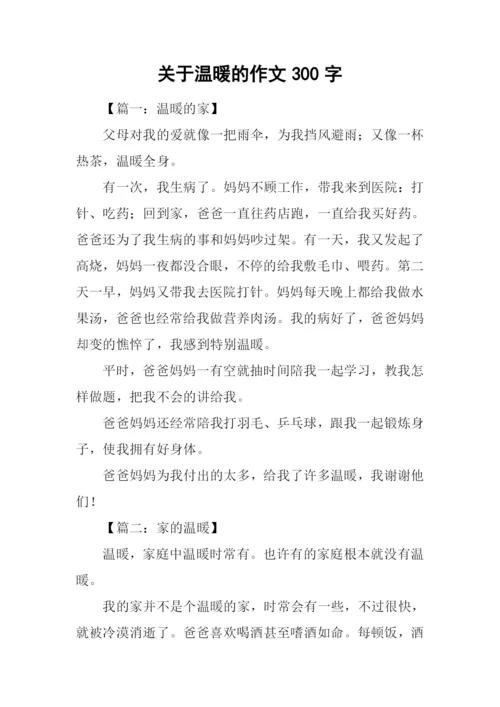 关于温暖的作文300字.docx