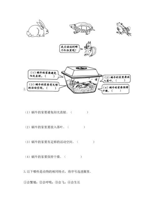 教科版一年级下册科学期末测试卷【考点精练】.docx