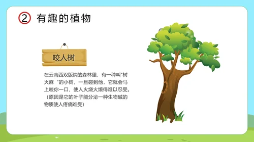 小讲堂趣味科普通用PPT模板