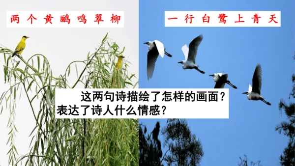 二下《古诗二首》第二课时