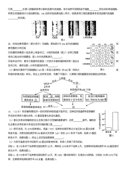 2022北京西城高三一模生物（教师版）