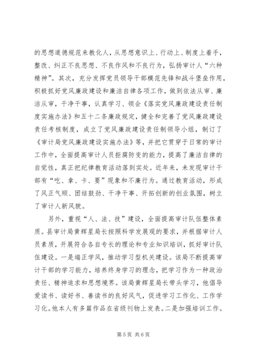 做好审计工作为经济服务.docx