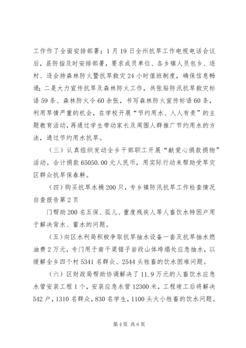 乡镇防汛抗旱工作检查情况自查报告.docx